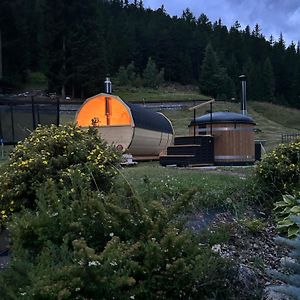 Apartament typu superior